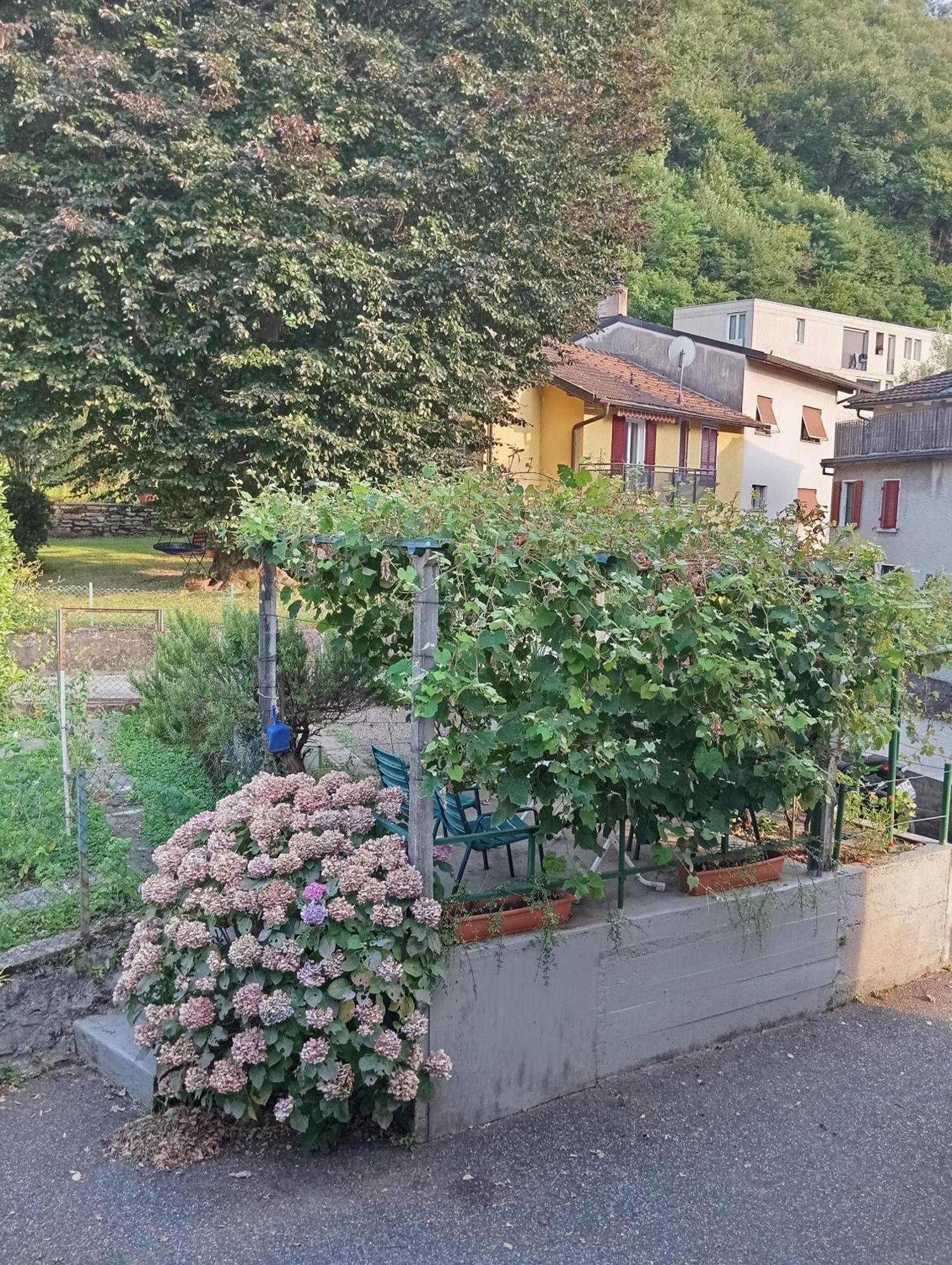 Villa Minicasa Bellinzona Exterior foto
